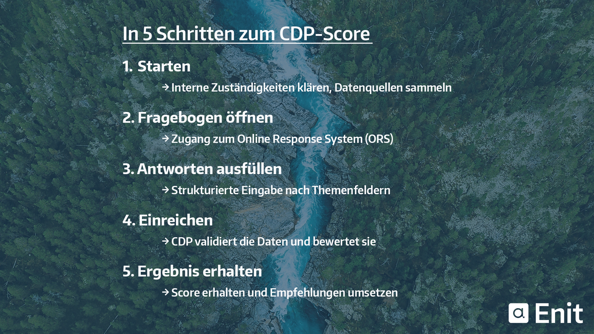 Infografik: Schritte zur Erstellung eines CDP CO2-Berichts für Unternehmen