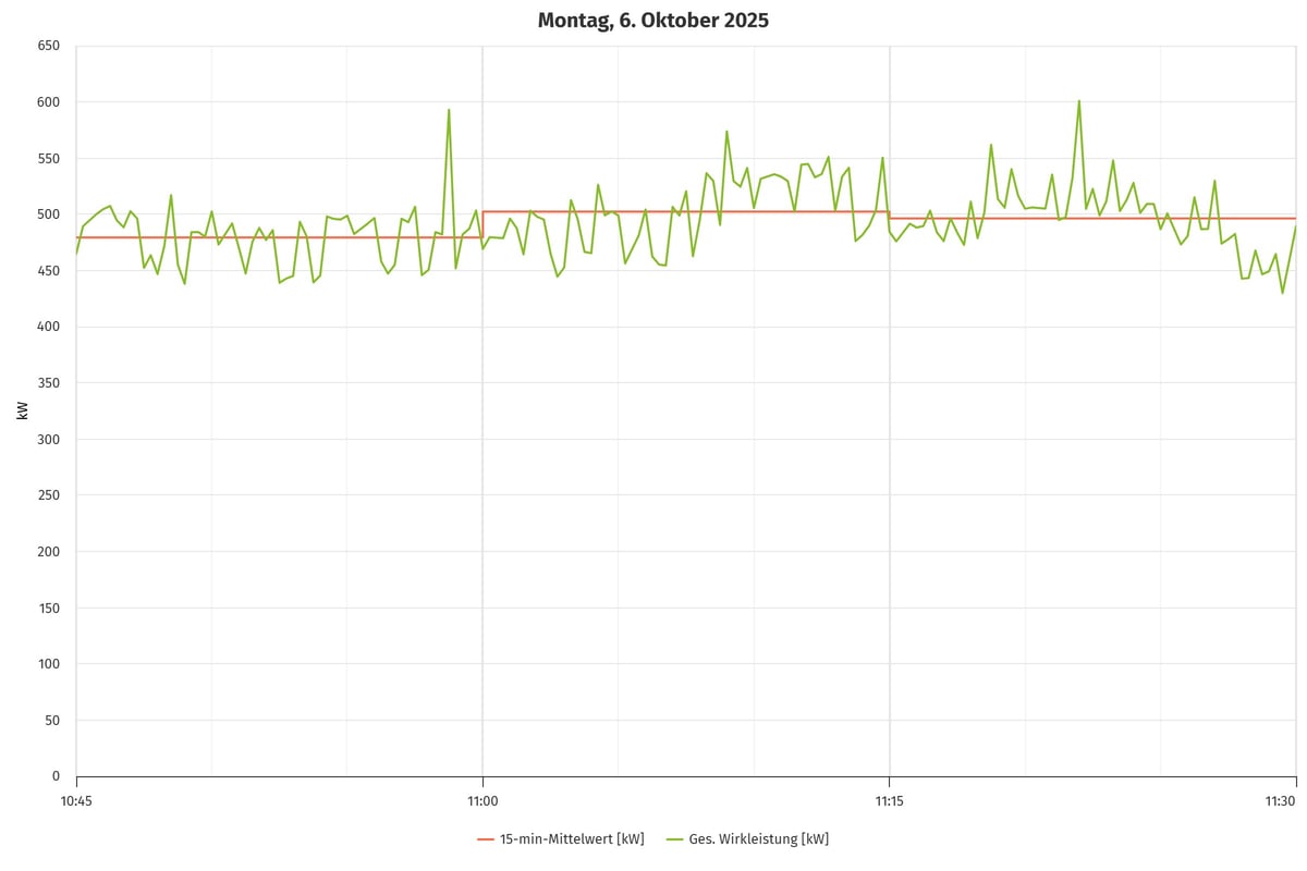 Hochaufgelöste Wirkleistung 