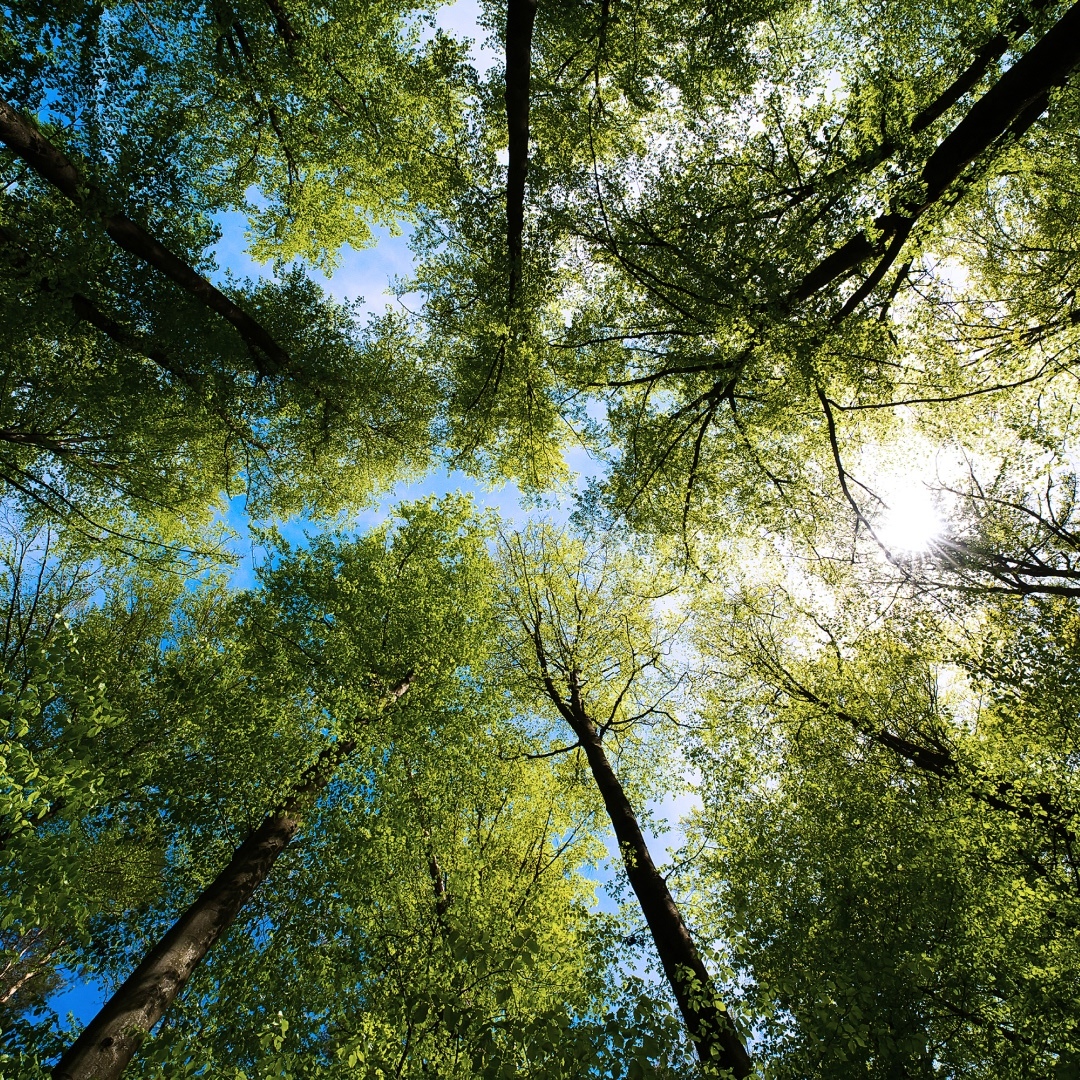 gi-kl-1317323736-1080x1080