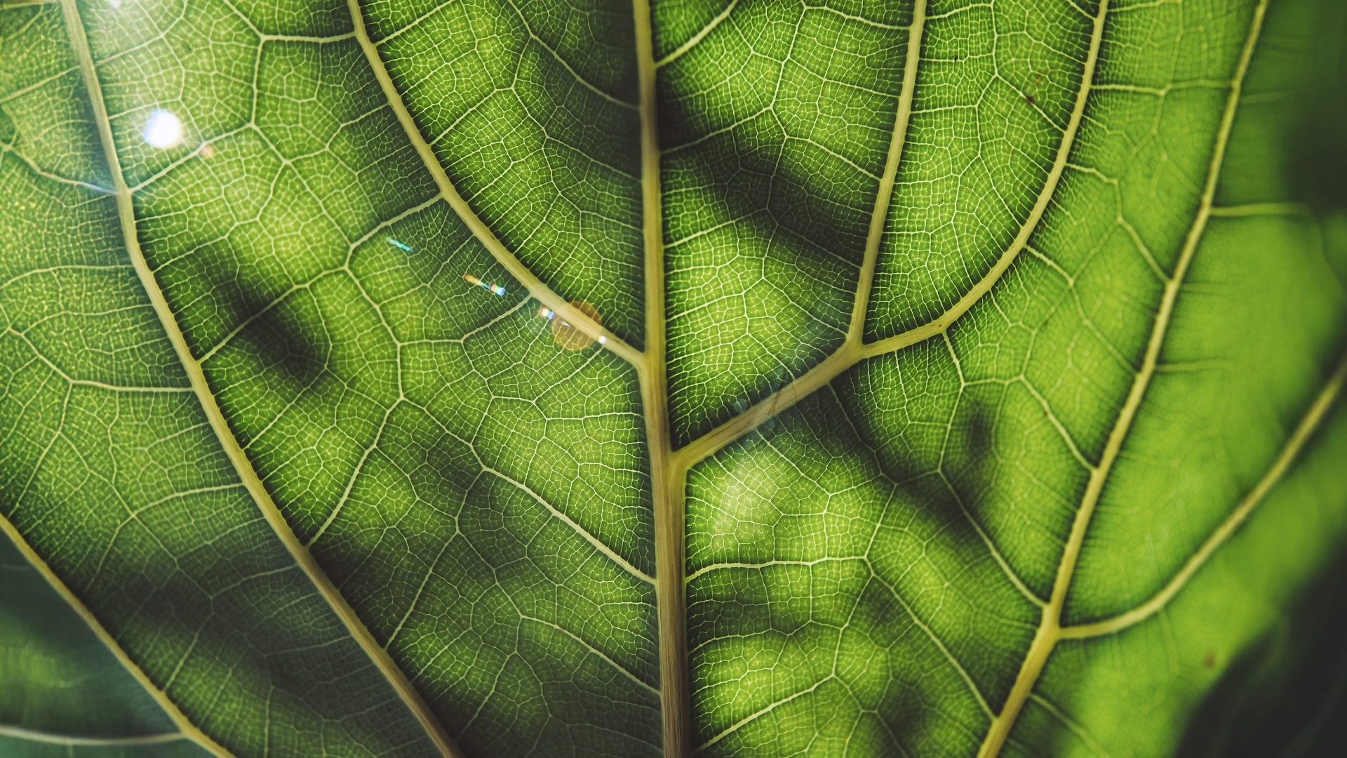 gi-kl-1397082187-1920x1080