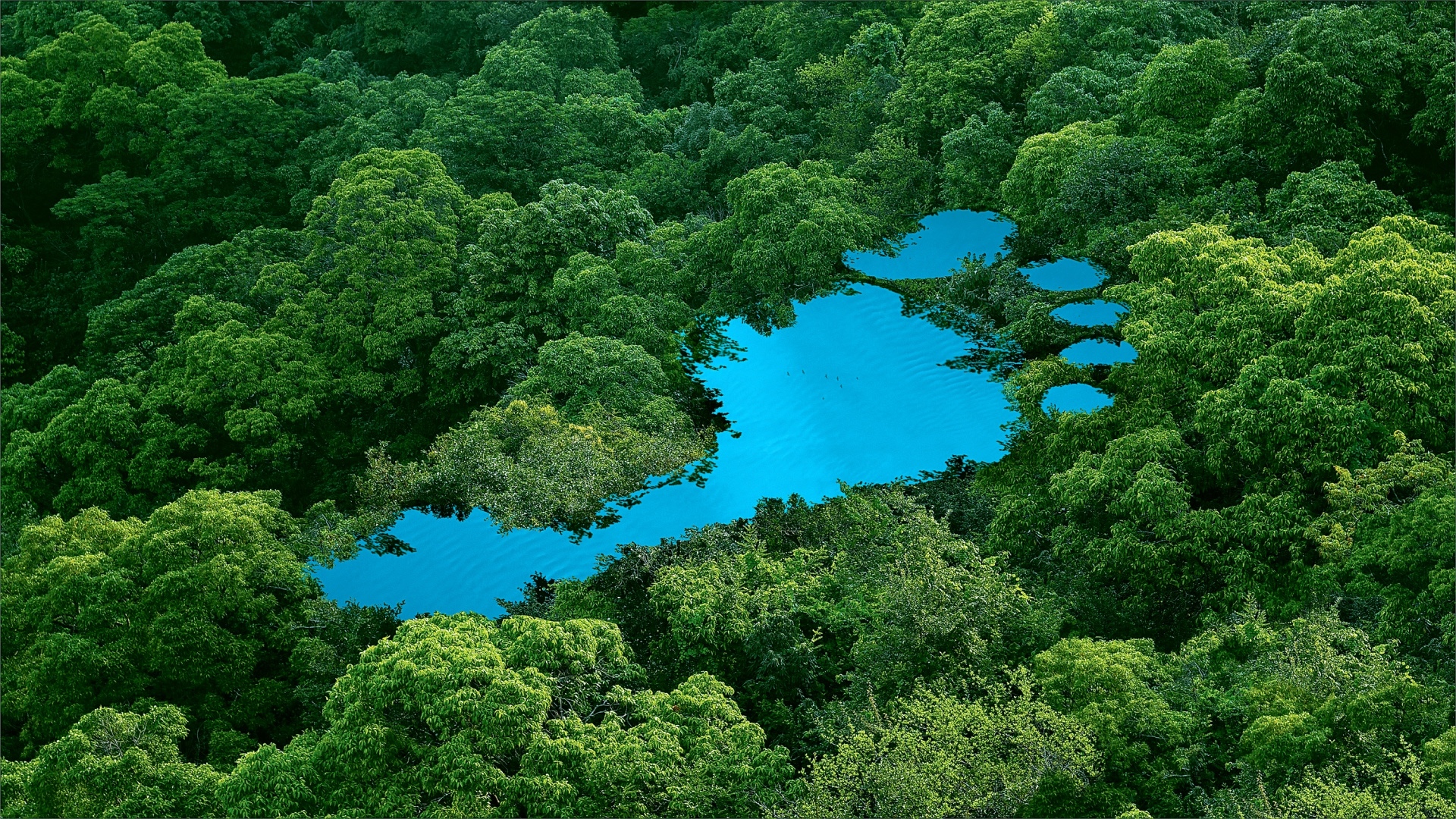 Product Carbon Footprint