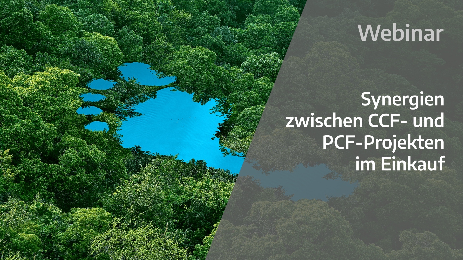 gi-kl-2173067223-EN-WB-Synergien-im-Einkauf-1920x1080